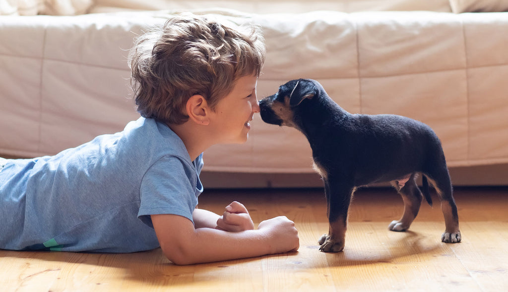 Non-Toxic Cleaning - For the Love of Kids and Your Furry Friends